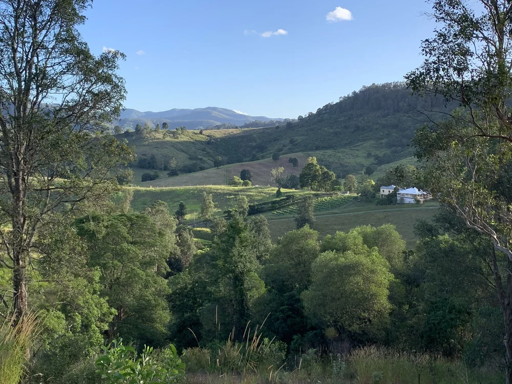 Green valley and ridgelines surrounding Mackenzie Creek Homestead