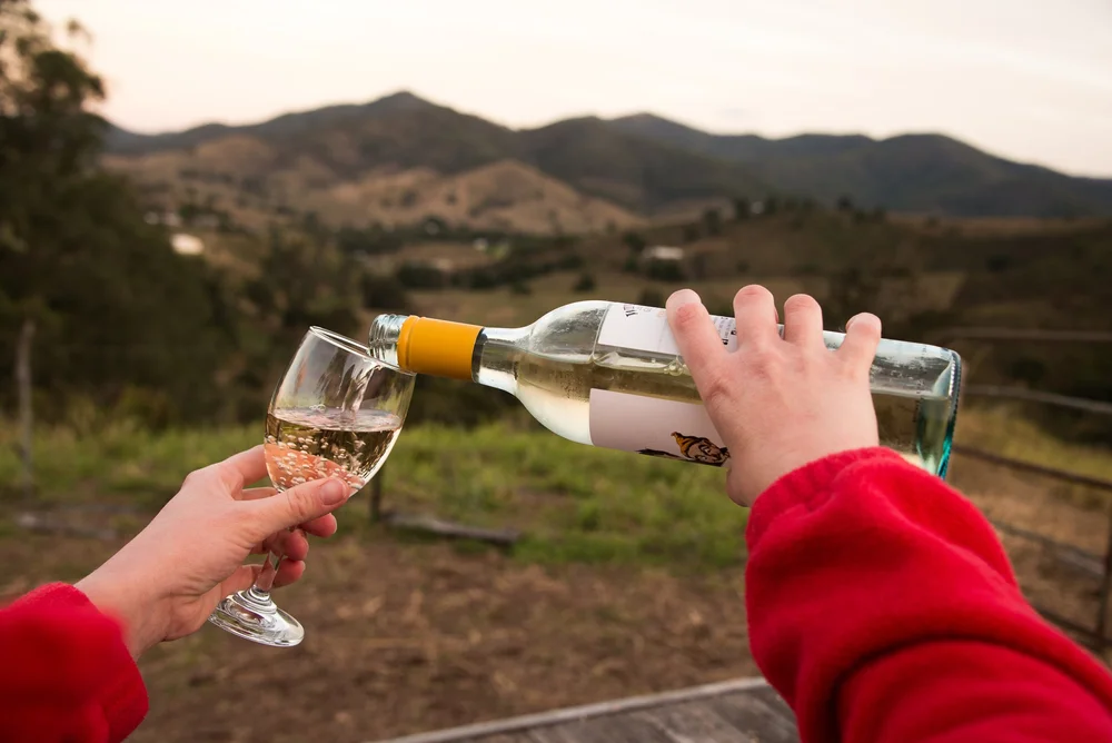 A glass of wine being poured on the ridge above Mackenzie Creek